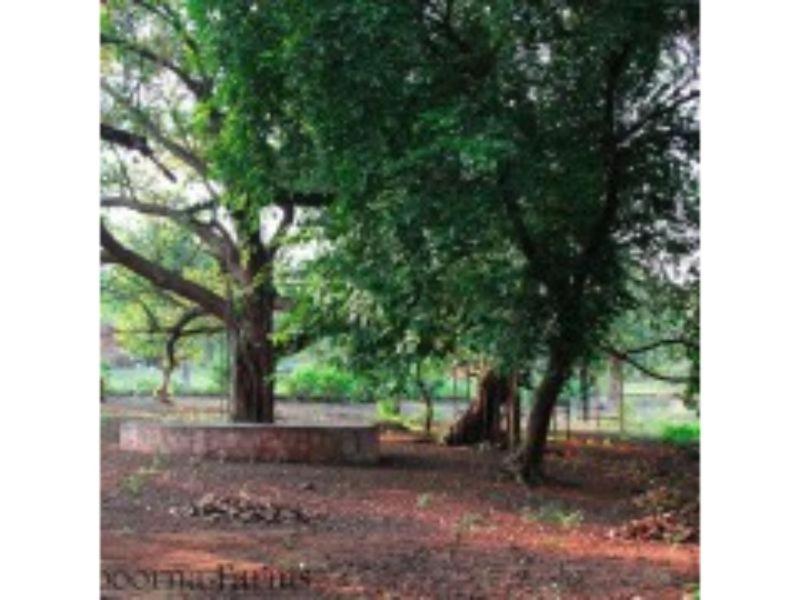 Annapoorna Farms Villa 6Bhk 科波利 外观 照片